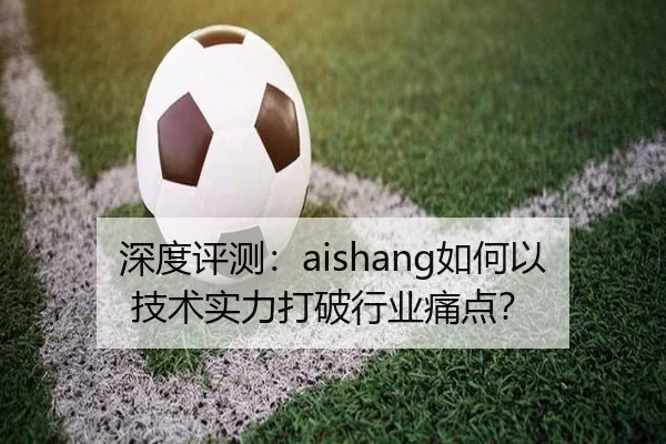 深度评测：aishang如何以技术实力打破行业痛点？