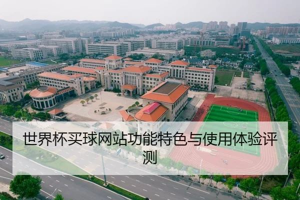 世界杯买球网站功能特色与使用体验评测