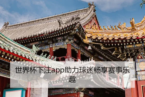 世界杯下注app助力球迷畅享赛事乐趣