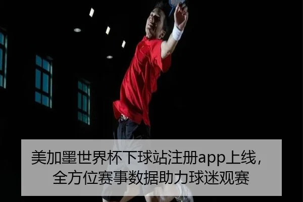 美加墨世界杯下球站注册app上线，全方位赛事数据助力球迷观赛